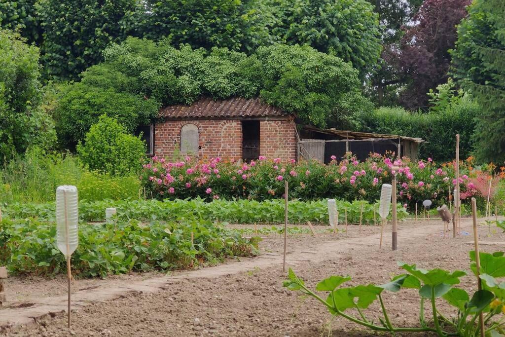 Uw Eigen Boerderij Bij Le Moulin De La Place Hargicourt Kültér fotó