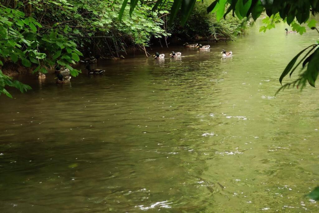 Uw Eigen Boerderij Bij Le Moulin De La Place Hargicourt Kültér fotó