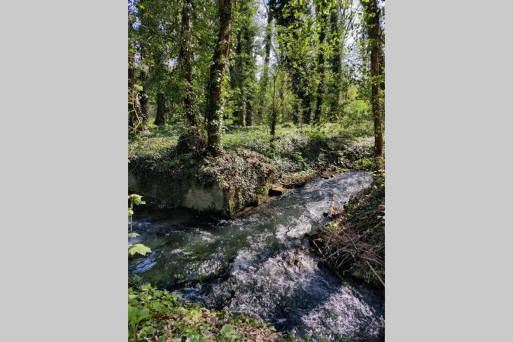 Uw Eigen Boerderij Bij Le Moulin De La Place Hargicourt Kültér fotó