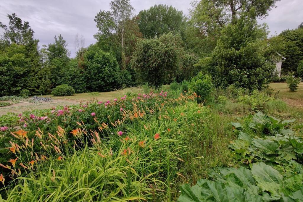 Uw Eigen Boerderij Bij Le Moulin De La Place Hargicourt Kültér fotó